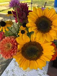 Profile for Sweet Bee Flowery