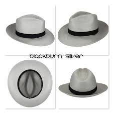 Bailey of Hollywood (2nd Page)