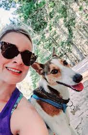 Our directory includes more than 12,560 hotels, vacation rentals, bed & breakfasts, and campgrounds in florida that welcome pets. Pet Sitters In Cape Town With Best Prices On Petbacker