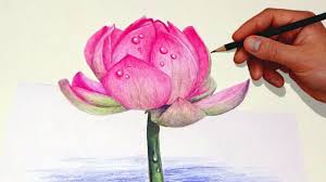 Drawing A Lotus Flower With Simple Colored Pencils Youtube Flower Drawing Lotus Flower Drawing Pencil Drawings Of Flowers