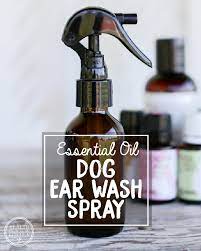 Essential Oil Dog Ear Wash Spray For Ear Infections Essential Oils Dogs Dog Ear Wash Dog Ear Infection Remedy