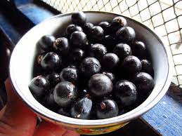 Acai Berry Benefits Nutrition Facts How To Use And Side Effects Acai Benefits Acai Berry Benefits Nutrition