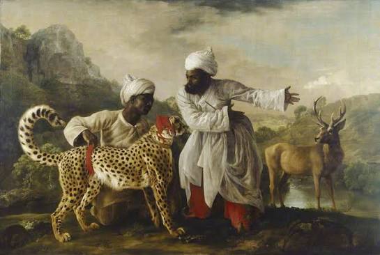 How India's Last Asiatic Cheetahs Were Used For Hunting By the British, the Mughals and the Rajputs