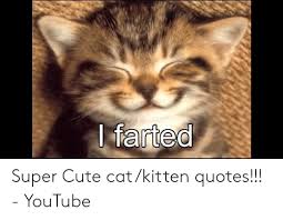Kittens are easily trained and adapt well, making it easy to train cats to use litter boxes and play with toys. Farted Super Cute Catkitten Quotes Youtube Cute Meme On Me Me