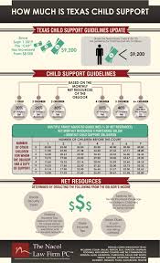 Texas Child Support Fathers Rights Dallas