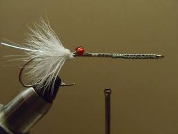 Olympus Digital Camera Fly Tying Patterns Fly Fishing Red Fish