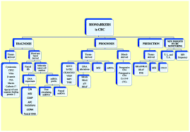 Tumor markers are biological substances that can be detected in the blood, urine, or body tissue of some tumor patients. Improving Diagnosis Prognosis And Prediction By Using Biomarkers In Crc Patients Review