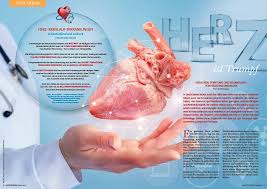 Symptome einer herzmuskelentzündung erstrecken sich von müdigkeit und fieber bis atemnot, herzrasen und schmerzen in der brust. Herz Ist Trumpf Sanitatshaus Aktuell Ag