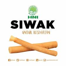 Siwak Pasta Gigi Hpai Batang Pohon Batang Gigi