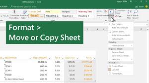 The default font options set in my excel for new workbooks are: Move Or Copy Worksheets In Microsoft Excel Youtube