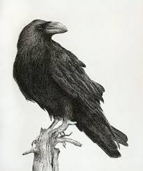 Black And White Raven Drawing Kaelycea S Deviantart Gallery Crow Silhouette Black Bird Crows Drawing