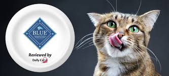 Healthiest cat food brands reviews uk. Blue Buffalo Cat Food Brand Review The Daily Cat