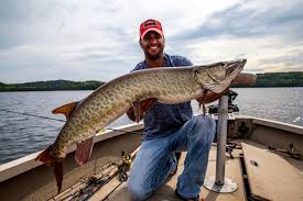 Meanotherself, dec 1, 2018, 1 replies, in forum: Lotw Muskies Muskie Pike In Depth Outdoors