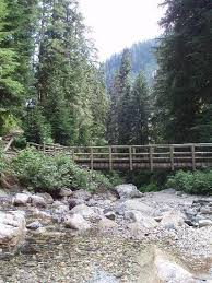 Get info about forests in pacific northwest. Pacific Northwest Forest Passes Washington Oregon On Myscenicdrives Com