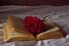 أجمل 40 خلفية عالية الدقة للورد الاحمر مداد الجليد red roses wallpaper red roses rose wallpaper