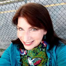 Border Collie Breed Characteristics and Hair Length