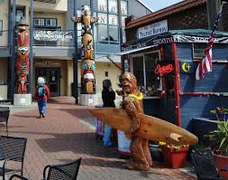 Black Ball Ferry Port Angeles Washington Black Ball Line Mv Coho Ferry Trip Port Angeles Port Angeles Wa Port Angeles Washington