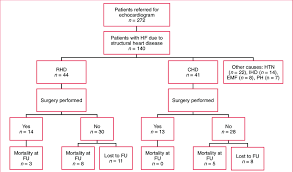 Flow Chart And Surgical Treatment In Patients With Rheumatic
