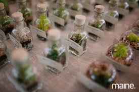 Allie Josh The Maine Mag Terrarium Wedding Terrarium Wedding Favor Unique Centerpieces