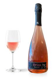 Image result for Briza