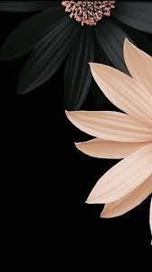 Beautiful Black And Yellow Flowers Wallpaper Yellow Wallpaper Yellow Flowers Pretty Wallpaper Iphone