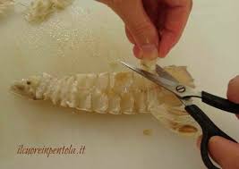 Ho per prima cosa staccato le teste dal corpo, conservandole in un piatto separatamente. Come Pulire Le Canocchie Il Cuore In Pentola