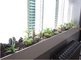 It has a rating of 4.9 with 31 reviews. Bring Your Window Box Inside Succulent Garden Indoor Indoor Window Garden Indoor Window Planter