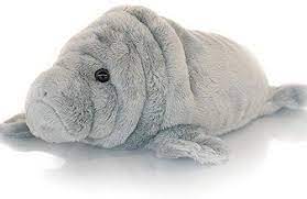 Pin On Siva Cute Plush