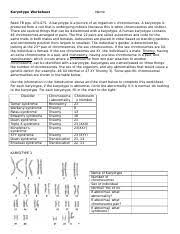 What is karyotyping? answered by dr. Karotype Evaluation Practice Docx Karyotype Worksheet Name Read Tb Pgs 474 475 A Karyotype Is A Picture Of An Organism U2019s Chromosomes A Karyotype Is Course Hero