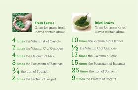 Moringa Benefits Chart Herbs Eos Moringa Powder