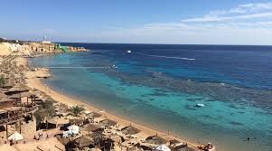 Image result for Light Blue 1986 UMM