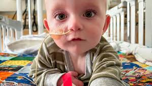 Fundraiser for Hailey Starkey by Stephanie Paul : In Loving Memory of  Zedekiah and his journey with CRELD1