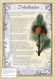 Bilder Aus Dem Buch Alte Heilkrauter Zeichnungen Mit Bildern Krauter Pflanzen Giftige Pflanzen Heilpflanzen