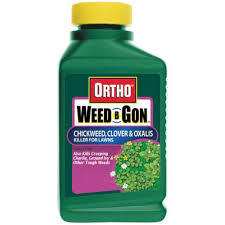 This uninvited guest is a perennial broadleaf weed that demands attention. How To Get Rid Of Creeping Charlie How To Plumbing And Home Repair From Levahn Bros Inc