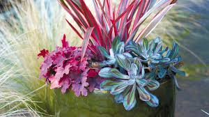 The experts at schumacher companies know we'll all be spending. Coolest Container Gardens 58 Ideas For Decks Entryways Yards Sunset Sunset Magazine