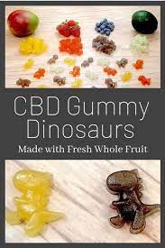 Homemade Cbd Gummy Bears Recipe Made From Whole Fruit Recipe Gummies Recipe Bear Recipes Gummies