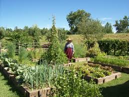 Jardin Potager French Kitchen Garden Potager Garden Vegetable Garden Design French Garden