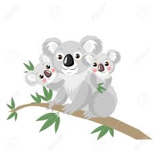 Maybe you would like to learn more about one of these? Koala Family On Wood Branch With Green Leaves Australian Animal Funniest Koala Sitting On Eucalyptus Branch Cartoon Vector Illustration Koalas Are Not A Type Of Bear Royalty Free Cliparts Vectors And Stock
