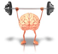 modafinil weight loss reviews results