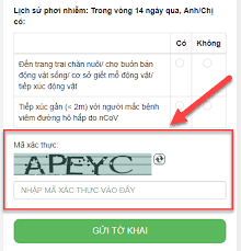 Hướng dẫn khai báo y tế tokhaiyte online ngay tại nhà. HÆ°á»›ng Dáº«n