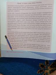 Paragraf 1 Topik Masalah Paragraf 4 Kesimpulan Dan Pesan Pendapat Pribadi Penulis Brainly Co Id