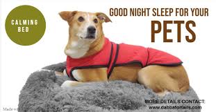 We did not find results for: Dabba For Tails Our Calming Dog Beds Are Flexible Enough To Accommodate Any Sleeping Position It Helps Relieve Joint Pain While The Pillow Provides Additional Orthopedic Support For The Head Neck