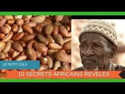 10 Incroyables Vertus Du Petit Cola Ou Bitter Kola Ou Mbitakola Ou Garcinia Cola Nature Sante Youtube Cola Plant Based Recipes Garcinia