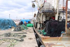 Ağlarımıza takılan balıklar akıp gidiyor. Tekirdagli Balikcilar Deniz Salyasi Yuzunden Sezonu Erken Kapatti Ntv