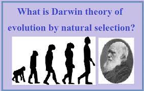 Identify influences on darwin's development of evolutionary theory. Charles Darwin Theory Of Evolution And Natural Selection