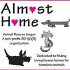 Almost home pet rescue maine. Almost Home Animals Almosthomemi Twitter