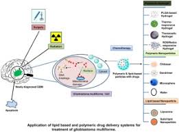 Polymeric And Lipid Based Drug Delivery Systems For Treatment Of Glioblastoma Multiforme Sciencedirect