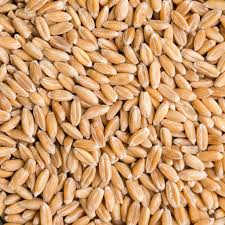 Spelt Recipes Storage And Cooking Tips Naturally Ella