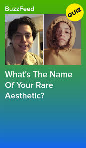 Everyone has a spring aesthetic — what's yours? What S The Name Of Your Rare Aesthetic Aesthetic Quiz Interesting Quizzes Quizzes For Fun