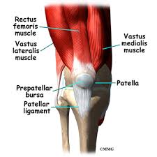 Expert reviewer, mr damian mcclelland, consultant trauma and the meniscus cartilages act like shock absorbers and may tear when you twist your knee with your foot still on the ground. Prepatellar Bursitis Eorthopod Com